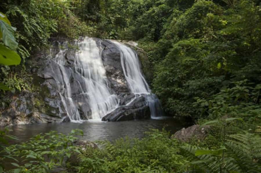 From São Paulo: Private Tour of Atlantic Forest & Valleys - Coastal views toward Saint Vincent, and why weather changes everything