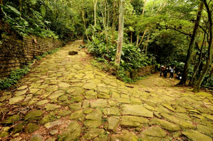 From São Paulo: Private Tour of Atlantic Forest & Valleys - Calçada do Lorena, trade routes you can walk on