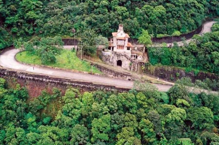 From São Paulo: Private Tour of Atlantic Forest & Valleys - Price and value: what you are paying for, and what to plan around
