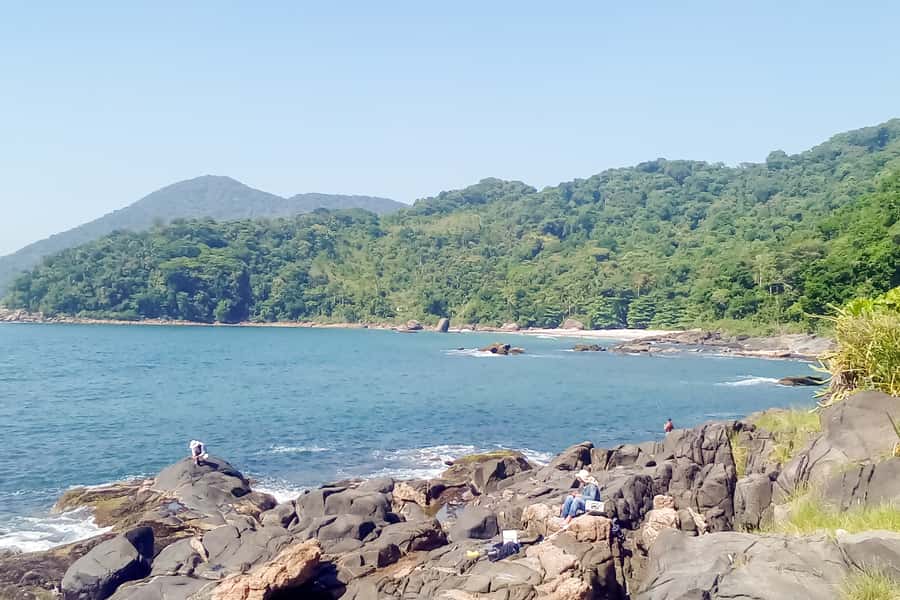 From São Paulo: Santo Amaro Island Trekking by Wild Beaches - Why This Santo Amaro Trek Feels Like a Real Adventure