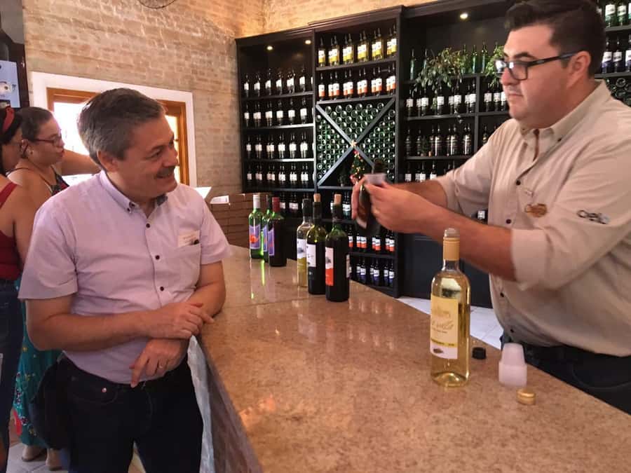 From São Paulo: São Roque Wineries Route and Tasting of Wine - Key Things You Should Know Before Going