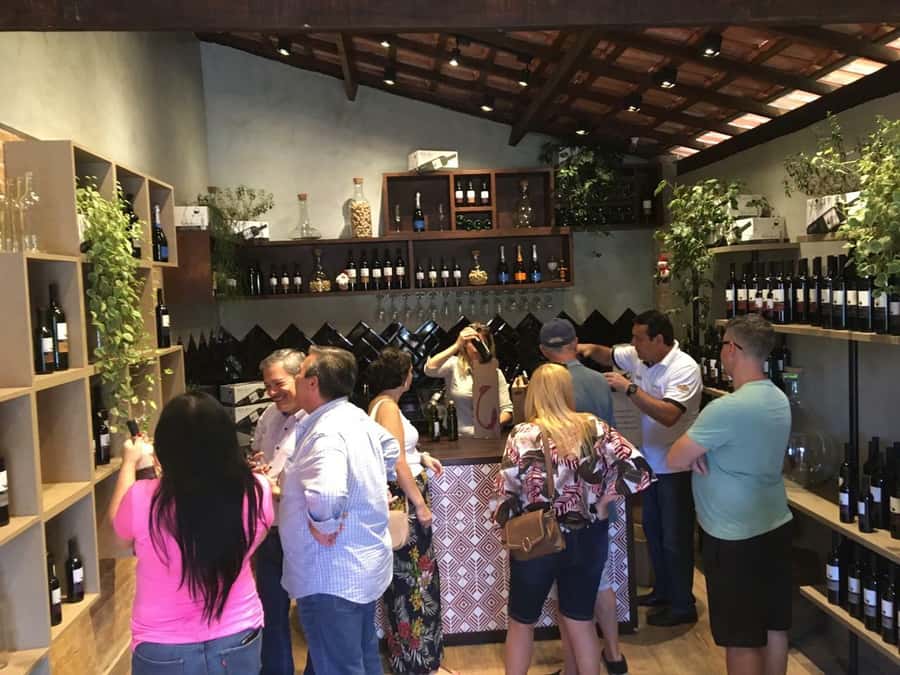 From São Paulo: São Roque Wineries Route and Tasting of Wine - Who Should Book This Tour (And Who Should Think Twice)