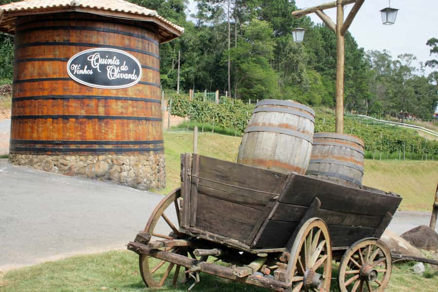 From São Paulo: São Roque Wineries Route and Tasting of Wine - São Roque Wine Route: Why This Day Trip Works