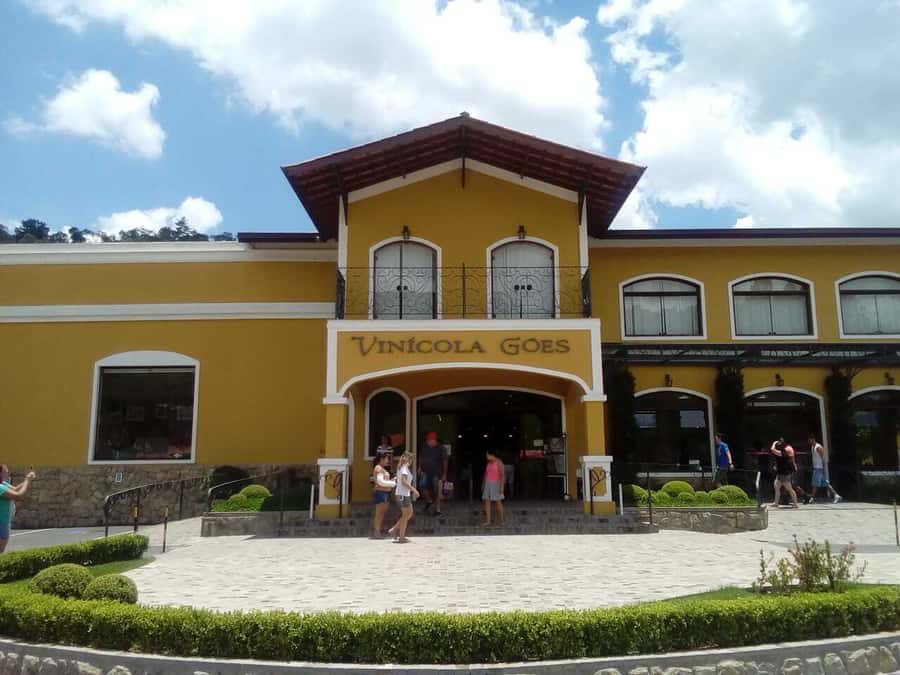 From São Paulo: São Roque Wineries Route and Tasting of Wine - Stop 1: Terra do Vinho Winery, a Strong Place to Start