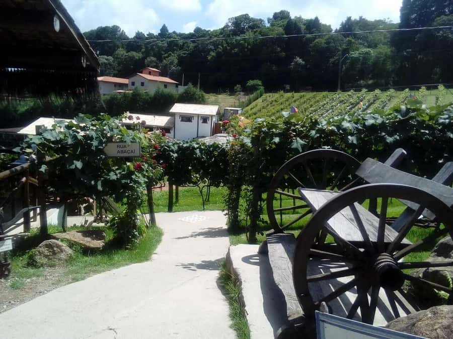 From São Paulo: São Roque Wineries Route and Tasting of Wine - Stop 3: Frank Winery, Often the One People Remember