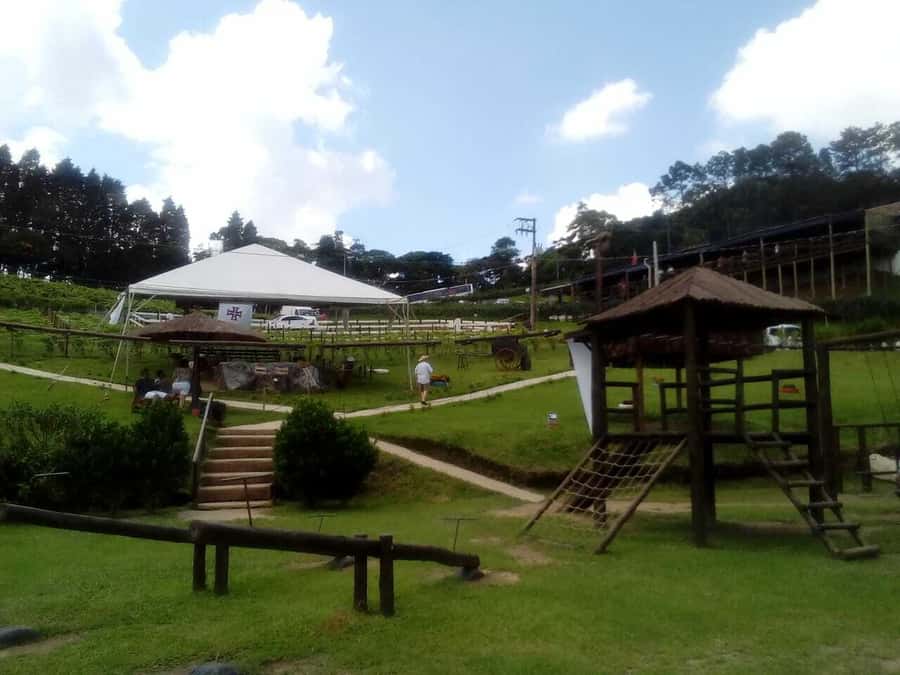 From São Paulo: São Roque Wineries Route and Tasting of Wine - Price and Value: Is $126 Worth It?