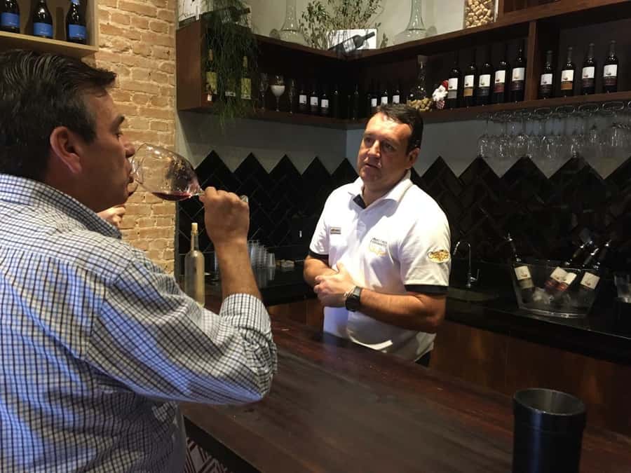 From São Paulo: São Roque Wineries Route and Tasting of Wine - Pickup, Timing, and the Small-Group Advantage