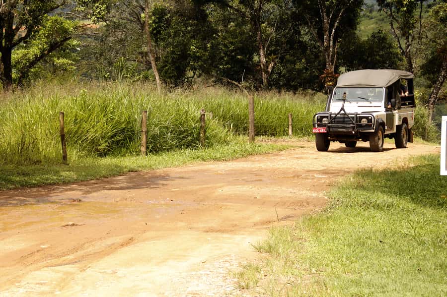 Full-Day Jungle Jeep Waterfall and Cachaça Distillery Tour - Key highlights you should care about