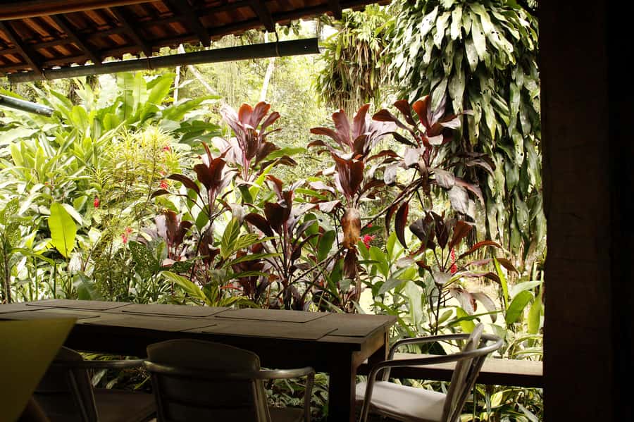 Full-Day Jungle Jeep Waterfall and Cachaça Distillery Tour - Engenho D’ouro: what a distillery tasting day feels like