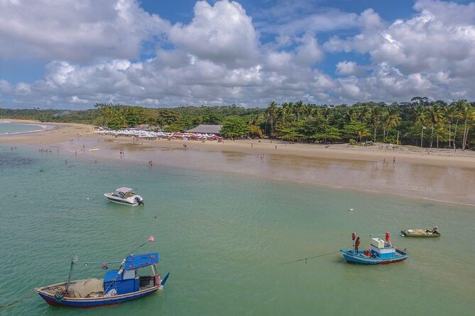 Full Day Tour in Trancoso with Chocolate Factory - Praia dos Coqueiros for 4 hours: reefs, coconut trees, and low-tide timing