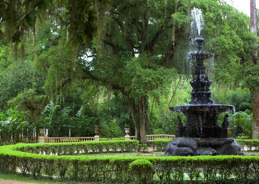 Green Rio: Guided Tour of Botanical Garden and Lage Park - Getting to the parks: pickups that keep your day on track