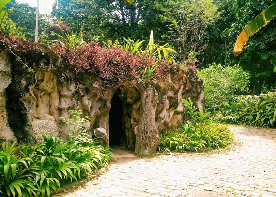 Green Rio: Guided Tour of Botanical Garden and Lage Park - Botanical Garden (1808): Brazil’s plants, explained as you walk