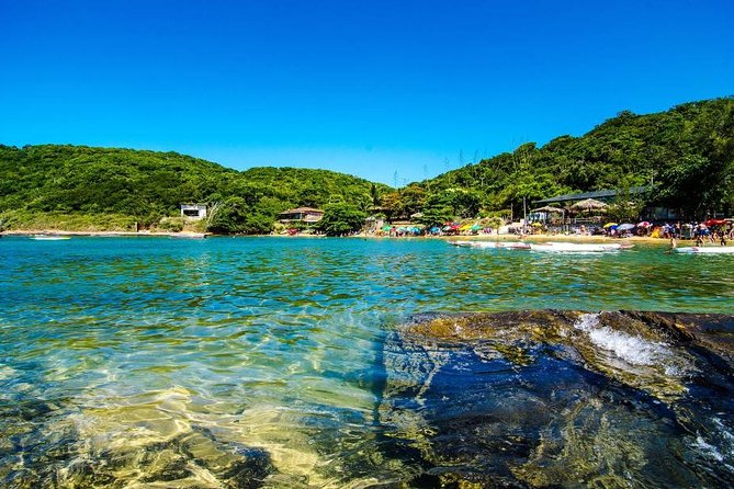 Guided Tour to Búzios with Boat Tour and Lunch - Praia da Tartaruga: Easy Beauty With Family-Friendly Infrastructure