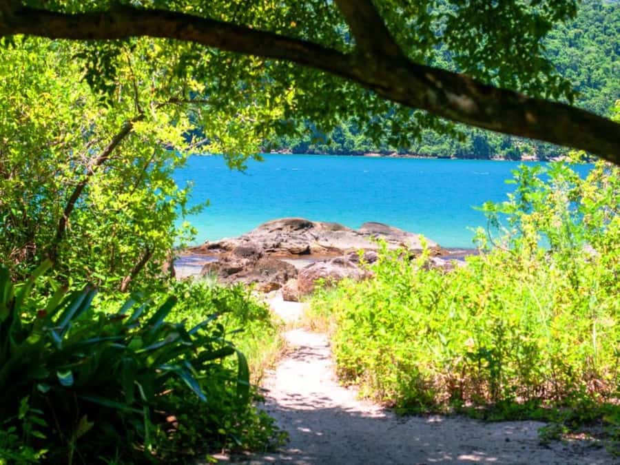 Idyllic Islands Private Speedboat Tour in Paraty - Price and Value for Up to 7 People at $549