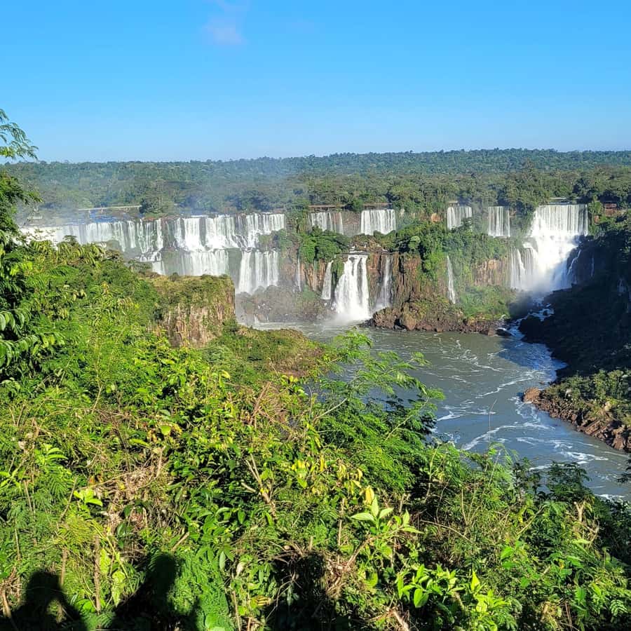 Iguassu Falls: Brazilian Side Private Tour - Key things that make this tour worth your time