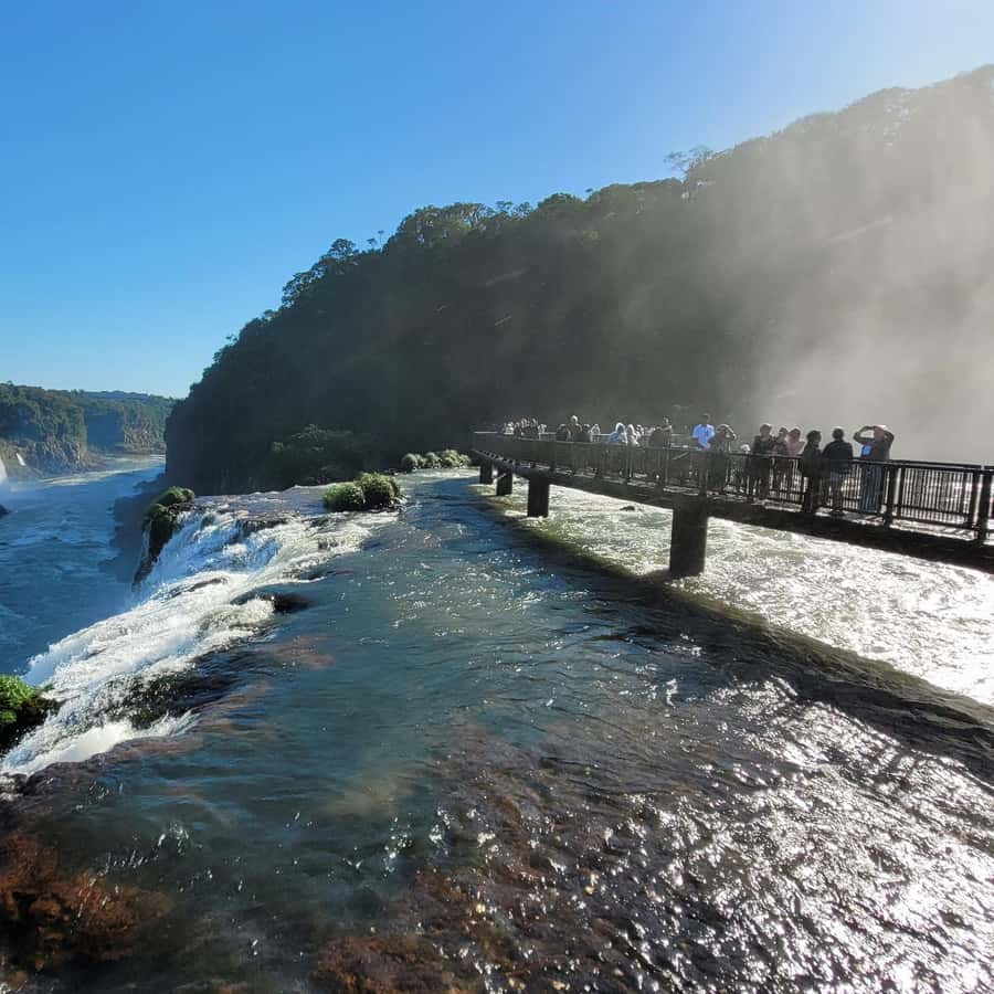 Iguassu Falls: Brazilian Side Private Tour - Elevator or extra stairs: pick your effort level