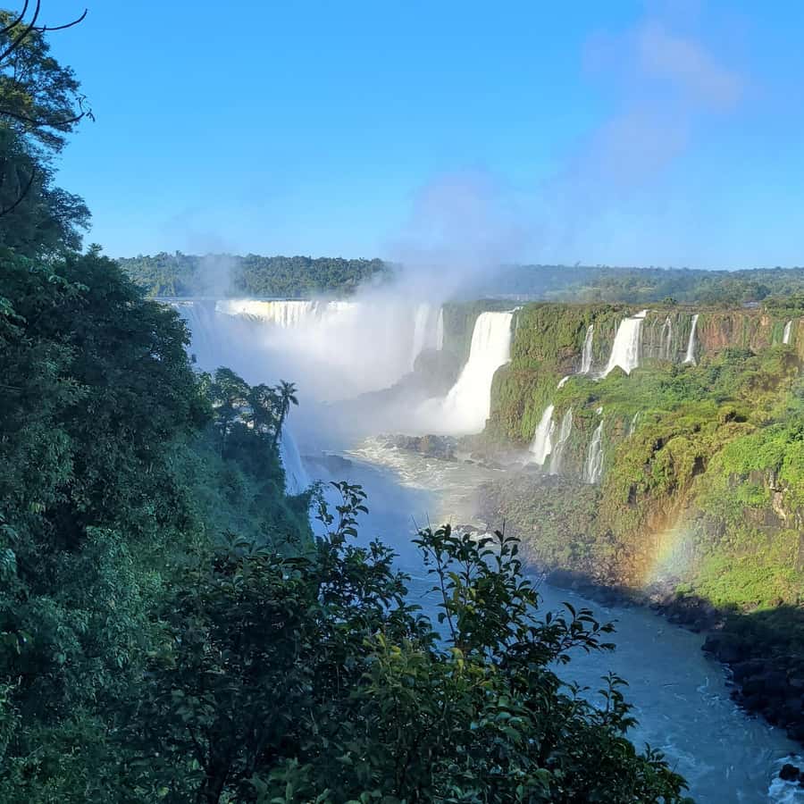 Iguassu Falls: Brazilian Side Private Tour - The optional Macuco Safari boat ride, and the wet-weather mindset