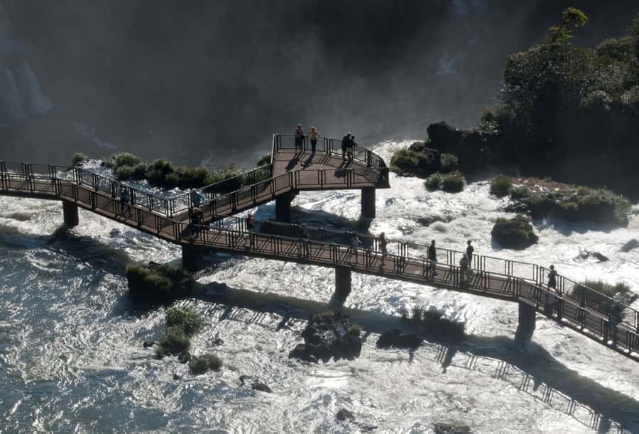 Iguassu Falls: Guided Tour & Macuco Safari on Pontoon Boats - Macuco Safari Through the Forest: What the Open-Air Ride Adds