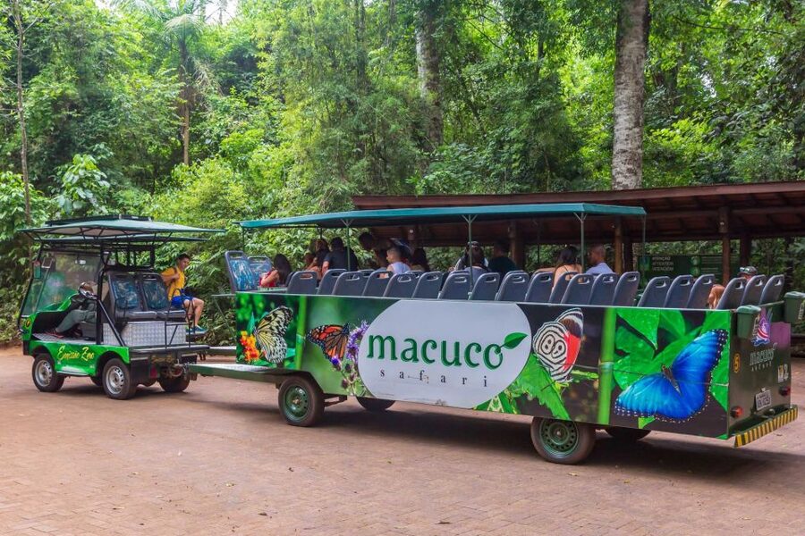Iguassu Falls: Guided Tour & Macuco Safari on Pontoon Boats - Final call: Should you book this tour?