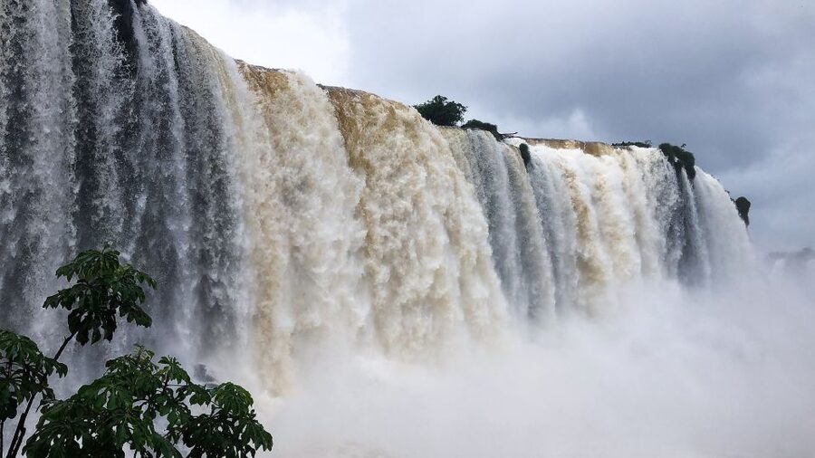 Iguazu Falls: 2-Day Argentinian and Brazilian Iguazu Falls - Day 2 Brazil Side: National Park Walkways, Mist, and Flora