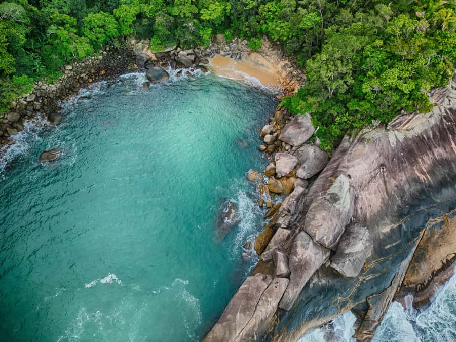 Ilha Grande: 360° Circumnavigation Speed Boat Tour - 8h - Aventureiro Reserve and Praia do Aventureiro coconut tree photo moment