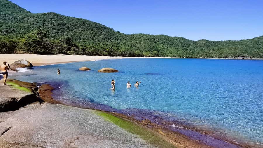 Ilha Grande: 360° Circumnavigation Speed Boat Tour - 8h - Praia dos Meros: marine life viewing and a shorter water window