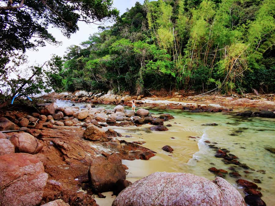 Ilha Grande: 6-Hour Speedboat Tour to Blue and Green Lagoons - Enseada das Estrelas (Bay of Stars): The Longer Break With Optional Lunch