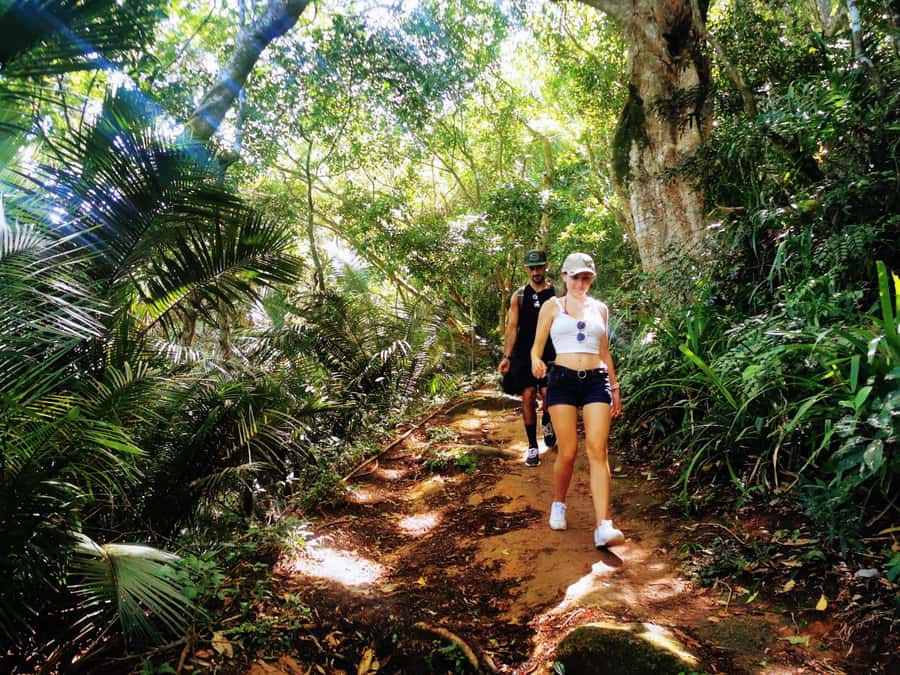 Ilha Grande: Lopes Mendes Private Hiking Tour - Walking through Ilha Grande State Park: the trail segments that shape the day