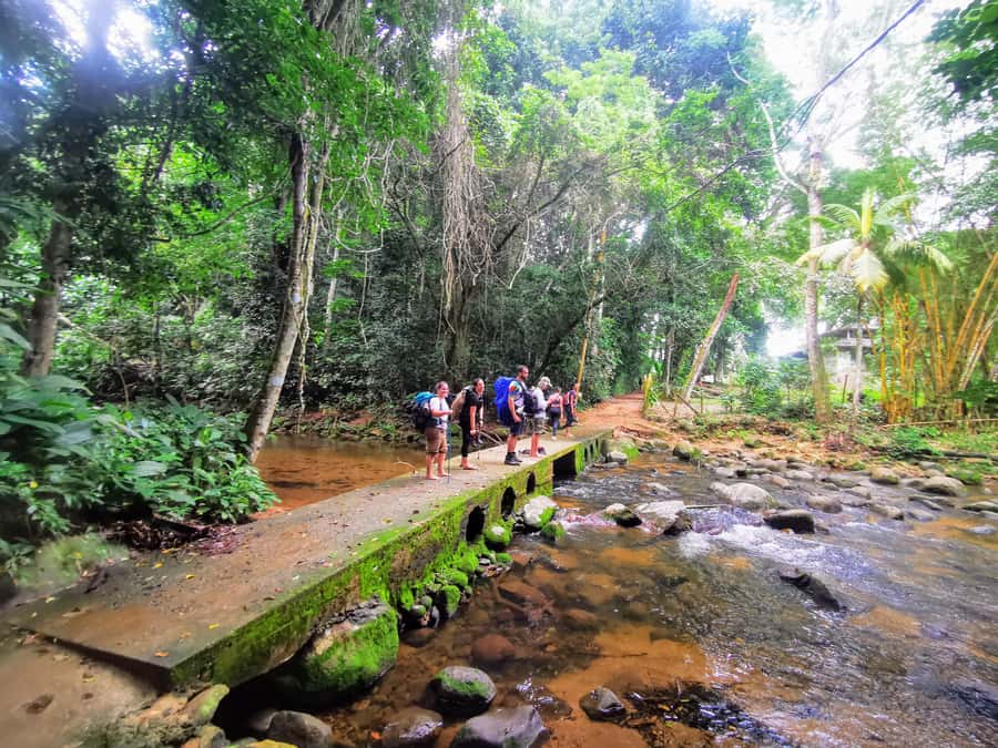 Ilha Grande: Private Hiking with Forest, Beaches & Waterfall - Key points to know before you go