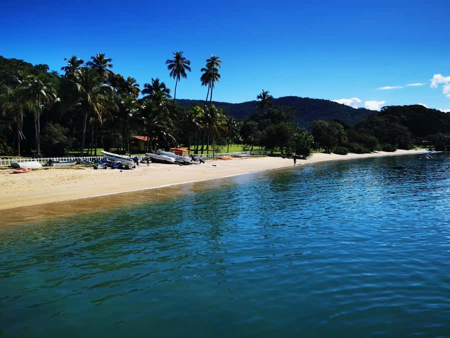 Ilha Grande: Private Hiking with Forest, Beaches & Waterfall - Beach breaks at Eseada das Estrelas, Camiranga, and Pereque