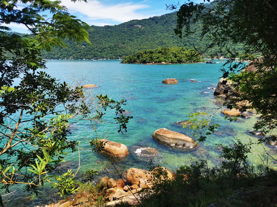 Ilha Grande: Private Historic Walking Tour with Natural Pool - Natural pool or sea time, plus the water rules you must follow