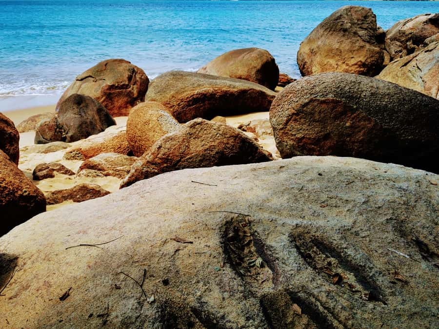 Ilha Grande: Private Historic Walking Tour with Natural Pool - Private guide value, language, and how pacing really works