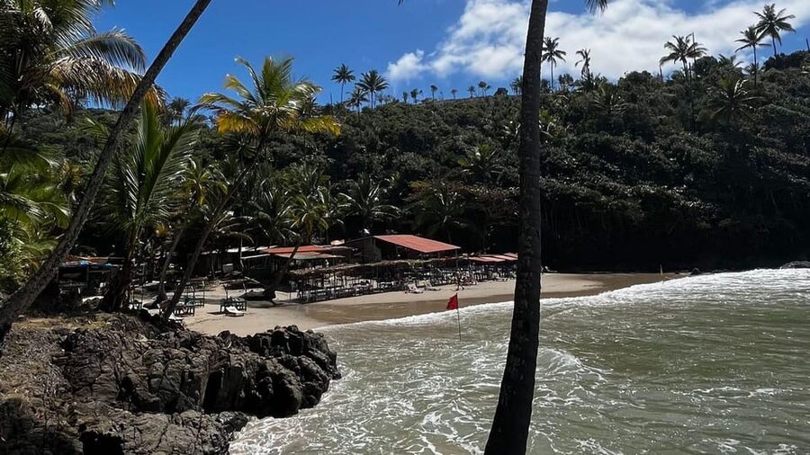 Itacare: 4 Beaches Trail and Tijuipe Waterfall - Key things you’ll notice on the 4 Beaches Trail and Tijuipe Waterfall