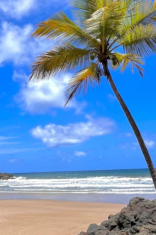 Itacare: 4 Beaches Trail and Tijuipe Waterfall - Cachoeira do Tijuípe: swim time in the Atlantic Forest