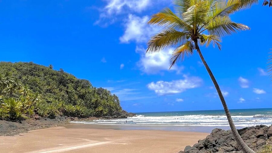 Itacare: 4 Beaches Trail and Tijuipe Waterfall - What’s included, and what you should bring