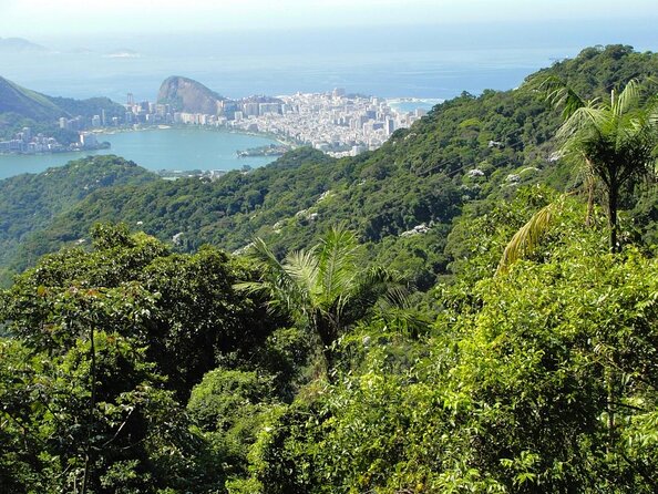 Jeep Adventure: Guided Tour through Tijuca Rain Forest - Key Highlights You’ll Actually Feel
