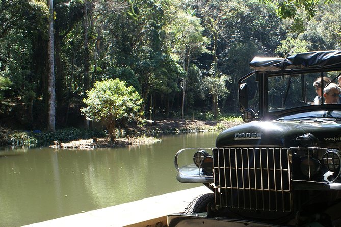 Jeep Adventure: Guided Tour through Tijuca Rain Forest - From City Heat to Tijuca Forest, Without the Hassle