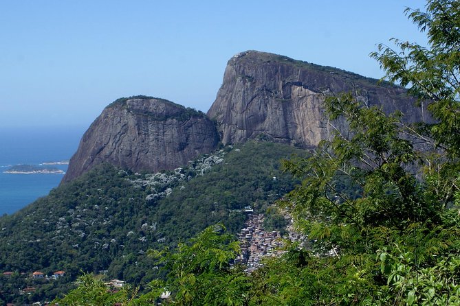 Jeep Adventure: Guided Tour through Tijuca Rain Forest - How Much Value Is $88.21 for This 4-Hour Plan?
