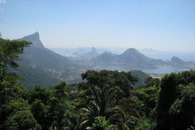 Jeep Adventure: Guided Tour through Tijuca Rain Forest - Practical Tips to Make This Day Easier