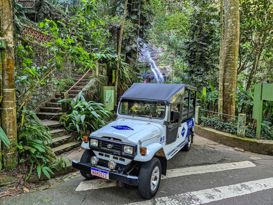 Jeep'n'Culture: Rocinha Favela and Tijuca Rainforest Tour - Tijuca Forest and Cascatinha Taunay, Rio’s Urban Green Reset