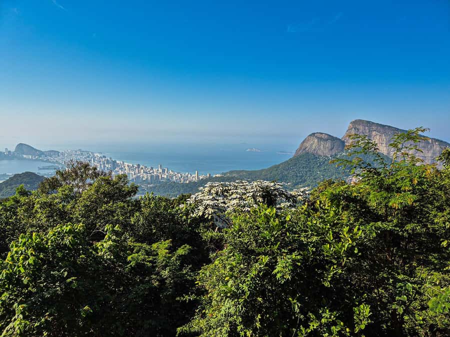 Jeep'n'Culture: Rocinha Favela and Tijuca Rainforest Tour - Drive Up Estrada da Gávea and the Club Bar Pause