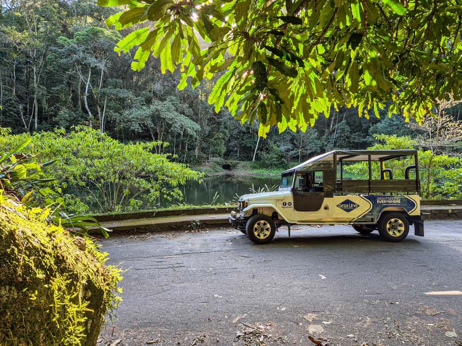 Jeep'n'Culture: Rocinha Favela and Tijuca Rainforest Tour - Visitor Center Walk: Biodiversity, Easy Hiking, and Wildlife Odds