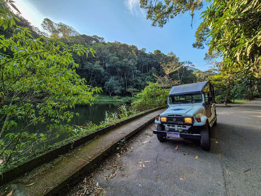Jeep'n'Green: Rio Botanical Garden & Tijuca Rainforest Tour - Key Points You Should Know Before Going