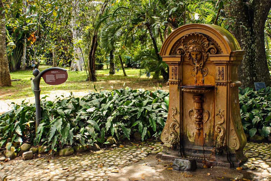 Jeep'n'Green: Rio Botanical Garden & Tijuca Rainforest Tour - JeepnGreen in Rio: What Makes This 4-Hour Mix Work
