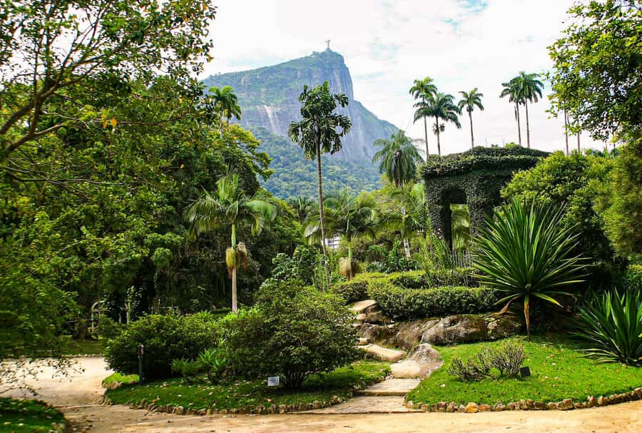 Jeep'n'Green: Rio Botanical Garden & Tijuca Rainforest Tour - Tijuca Rainforest by Jeep: Fast Access to Real Views