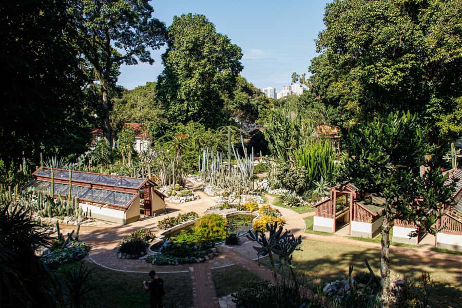 Jeep'n'Green: Rio Botanical Garden & Tijuca Rainforest Tour - Emperor’s Table: A Built Viewpoint With City Panoramas