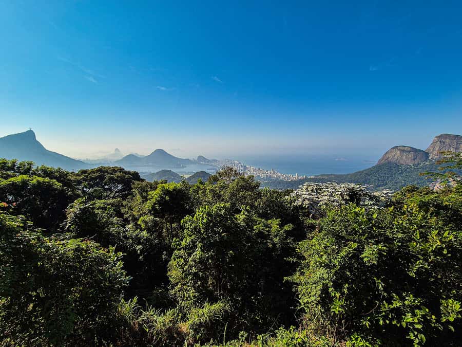 Jeep'n'Green: Rio Botanical Garden & Tijuca Rainforest Tour - Pepino Beach: Hang Gliders as Your Rio Finale