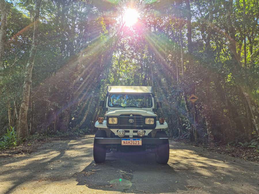 Jeep'n'Green: Rio Botanical Garden & Tijuca Rainforest Tour - Rio Botanical Garden: 6,000+ Plant Species, Set Under Corcovado