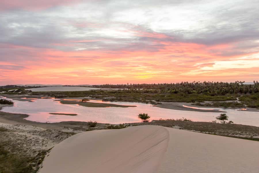 Jericoacoara: Tatajuba Beach Tour - Key highlights worth planning around