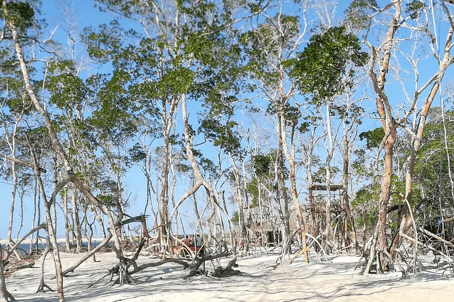 Jericoacoara: Tatajuba Beach Tour - Coast bar stop and optional snacks: where the day’s flexibility shows up